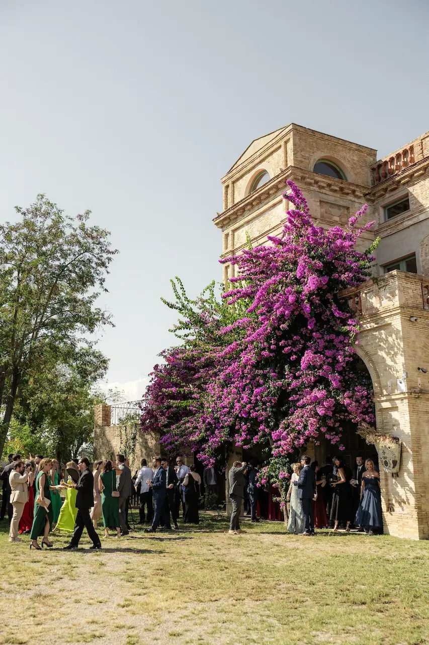 Una de las fachadas del Molí de la Torre, por ella trepa una gran buganvilla con muchas flores violetas, los invitados de la boda esperan debajo a la sombra